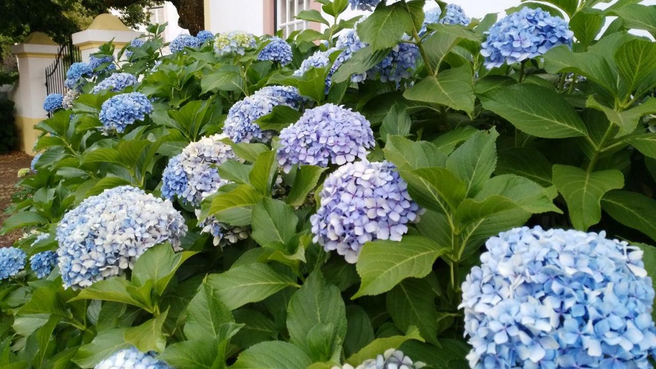مبيت وإفطار فيلا نوفا دي بوياريس Quinta Do Outeiro المظهر الخارجي الصورة